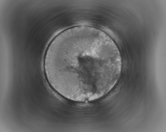 X0000111141331200908111106