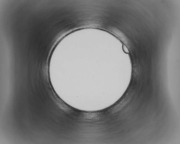 X0000111141332200908111106