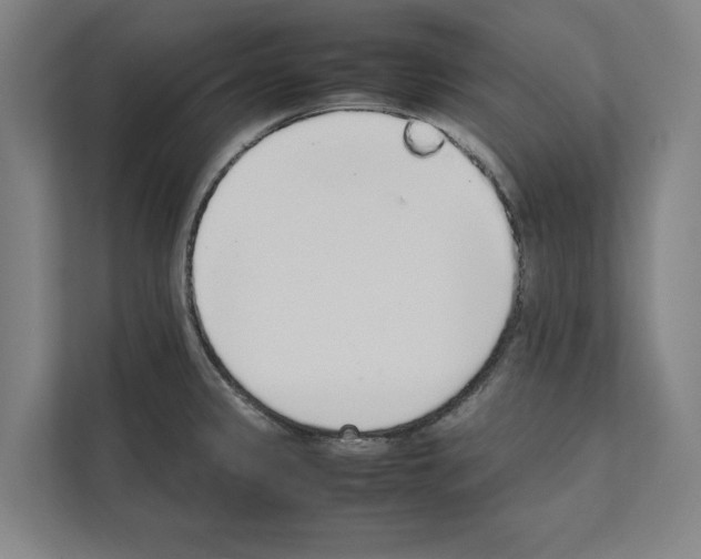 X0000111141333200908111106