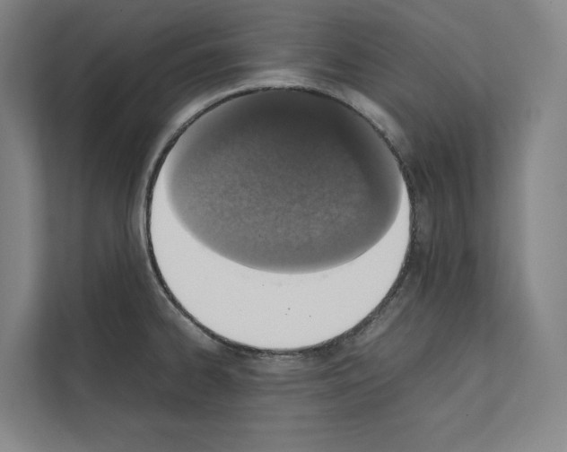 X0000111141334200908111106