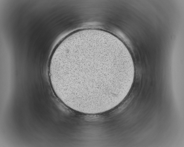 X0000111141336200908111106