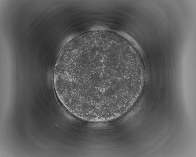 X0000111141337200908111106