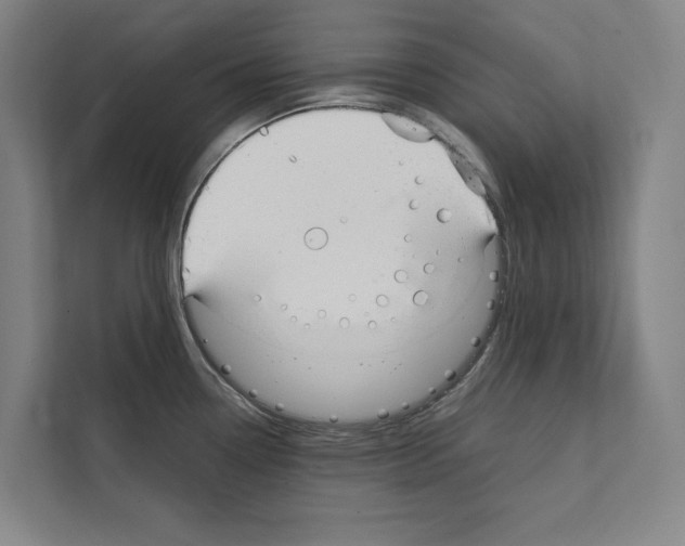 X0000111141338200908111106