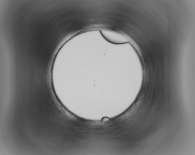 X0000111141341200908111106