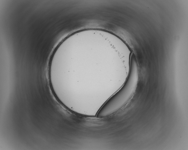 X0000111141342200908111106