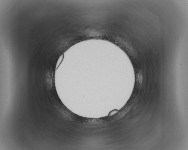 X0000111141348200908111105