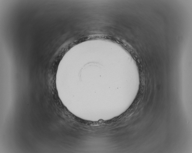 X0000111141351200908111105