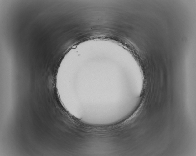 X0000111141353200908111105