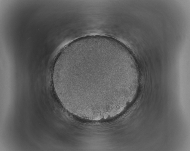 X0000111141359200908111105