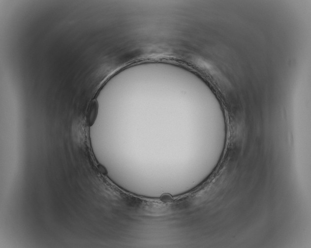 X0000111141361200908111105