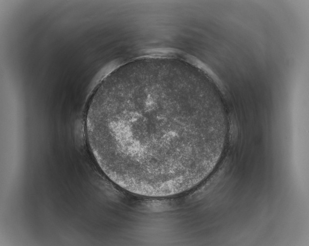 X0000111141362200908111105