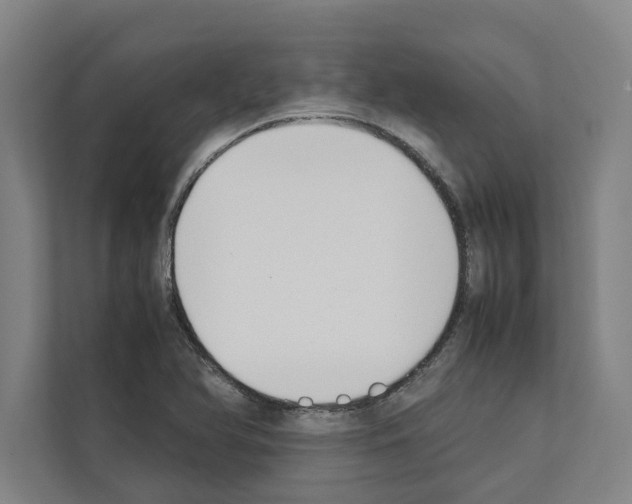 X0000111141366200908111105