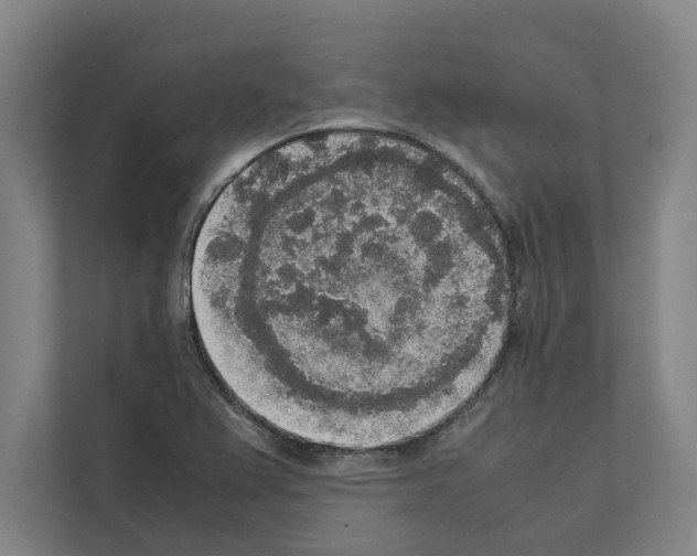 X0000111141367200908111105