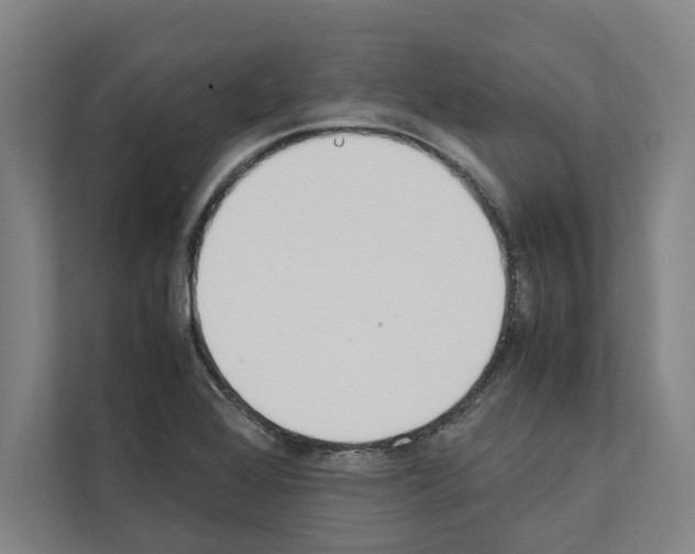 X0000111141368200908111105