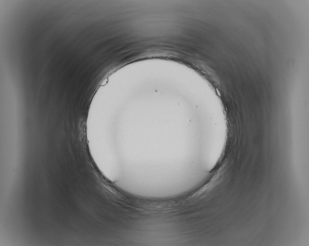 X0000111141369200908111105