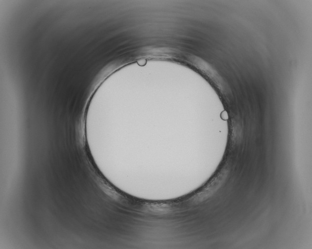 X0000111141370200908111105