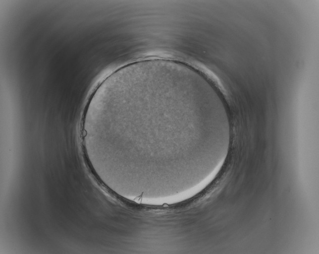 X0000111141373200908111105