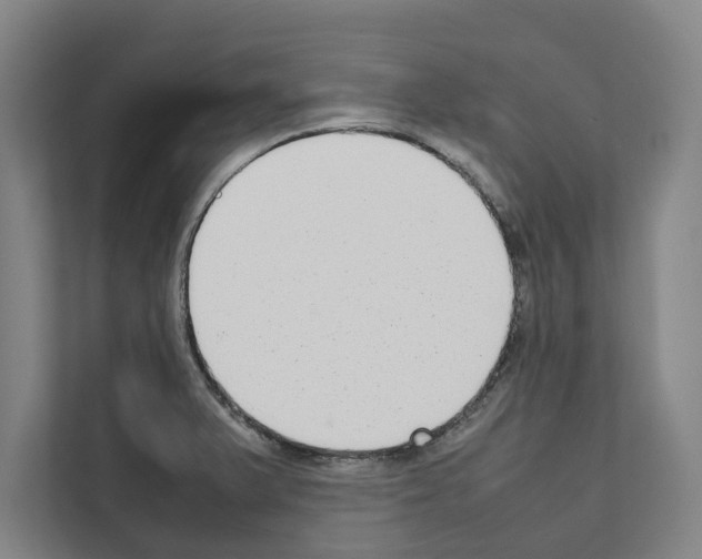 X0000111141375200908111105