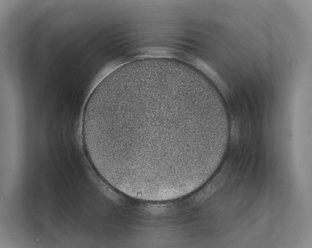 X0000111141378200908111105