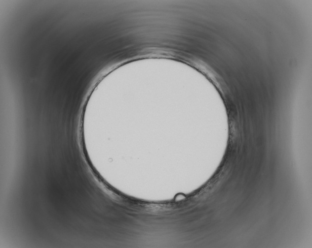 X0000111141379200908111105