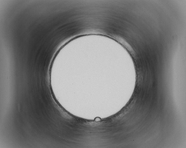 X0000111141380200908111105