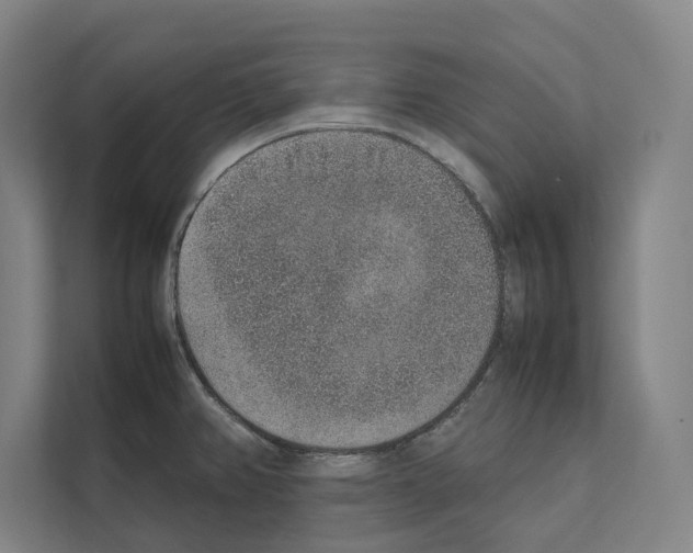 X0000111141382200908111105