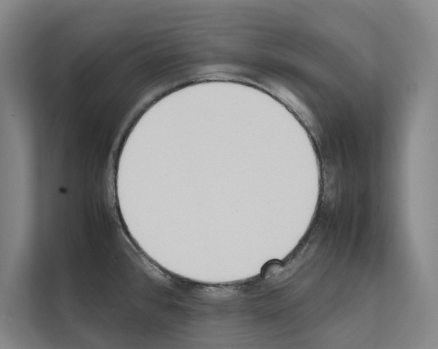 X0000111141384200908111105