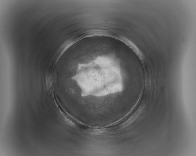 X0000111141385200908111105