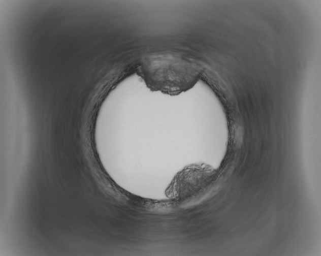 X0000111141393200908111104