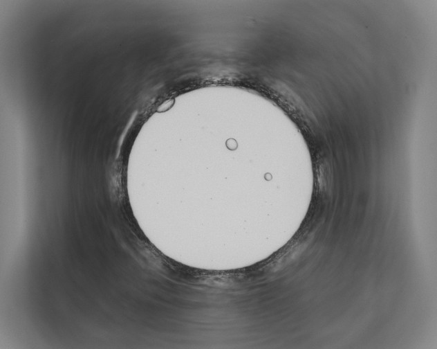 X0000111141396200908111104