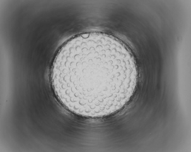 X0000111141404200908111104