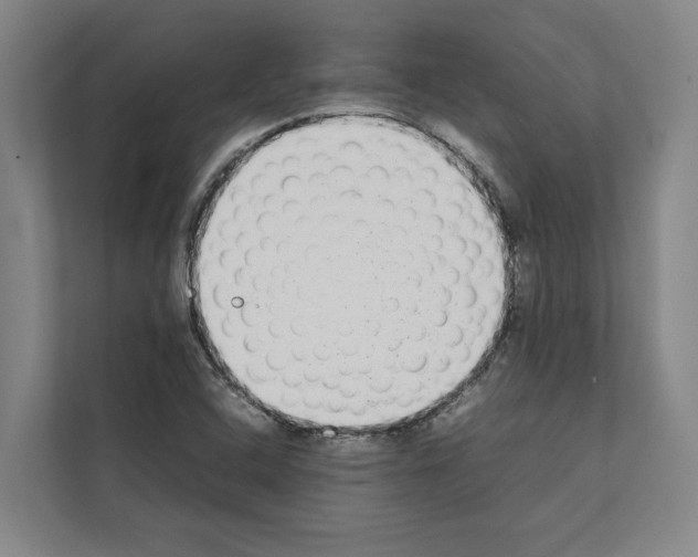 X0000111141408200908111104