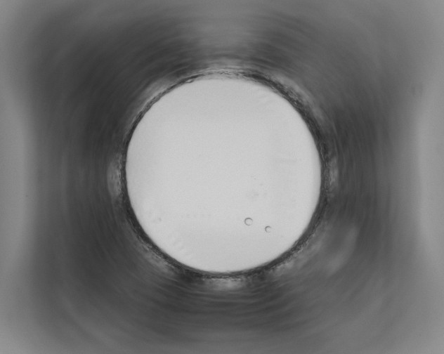 X0000111141409200908111105