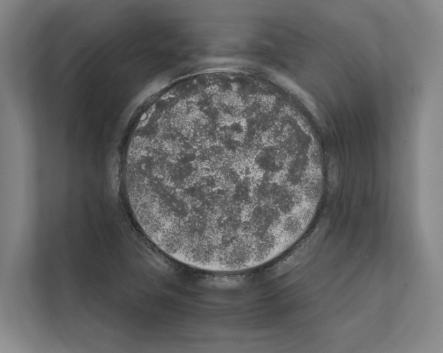 X0000111141411200908111105