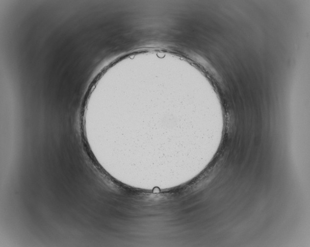 X0000111141412200908111105