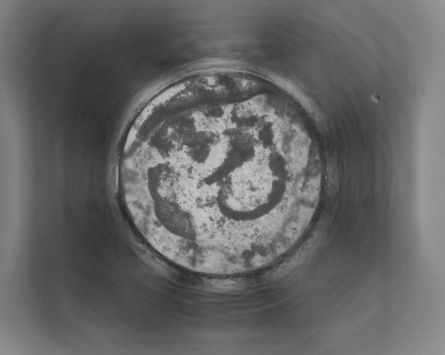 X0000111141413200908111105