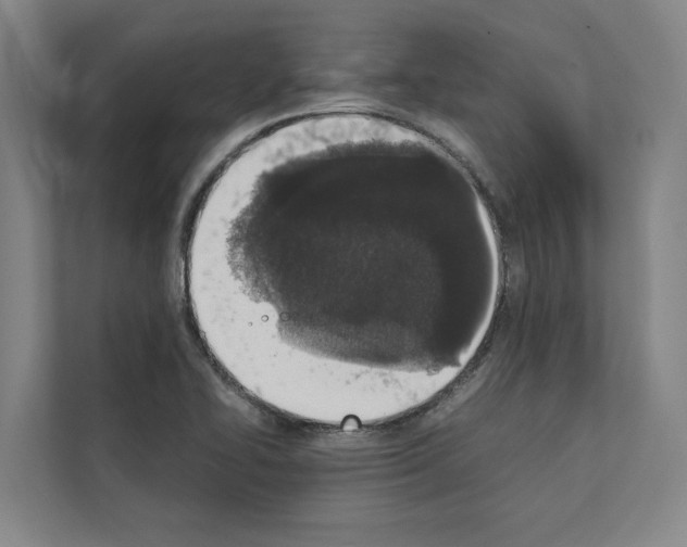 X0000111141414200908111105