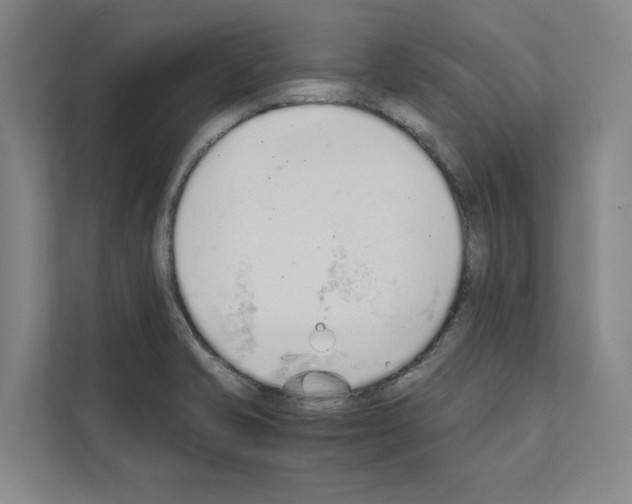 X0000111141421200908111105