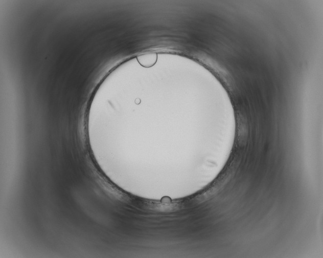 X0000111141423200908111105