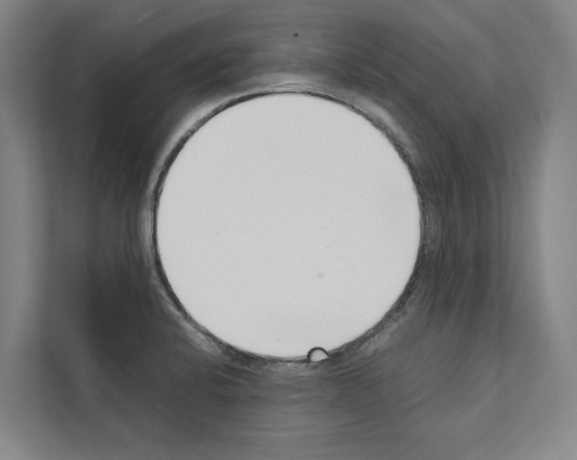 X0000111141424200908111105