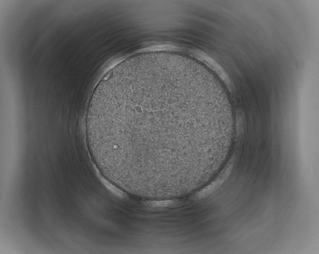 X0000111141425200908111105