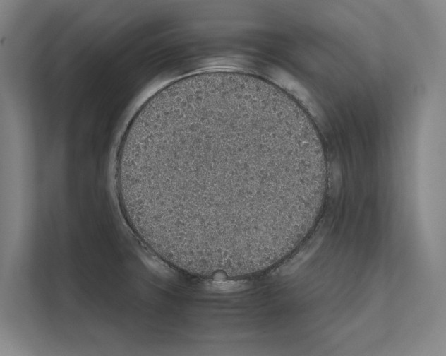 X0000111141427200908111105