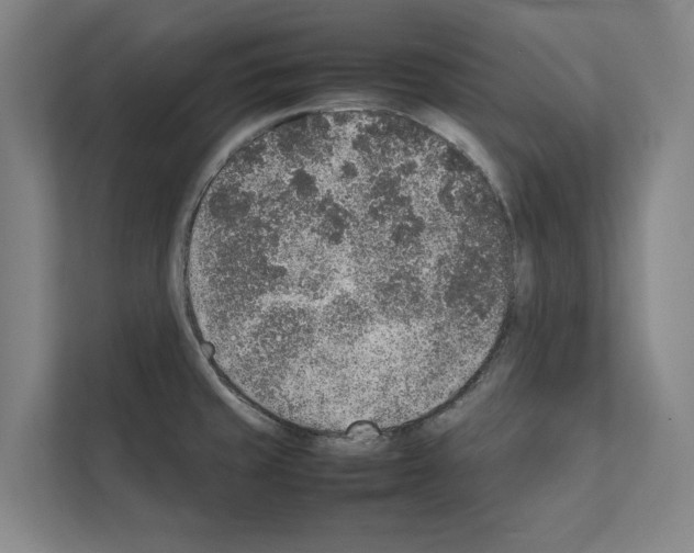 X0000111141429200908111105