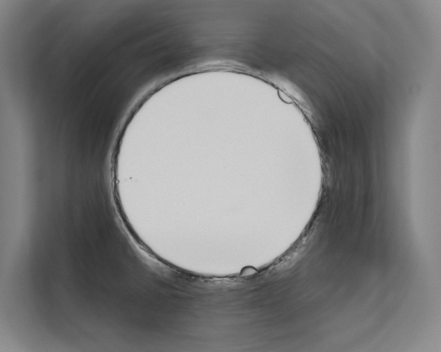 X0000111141430200908111105