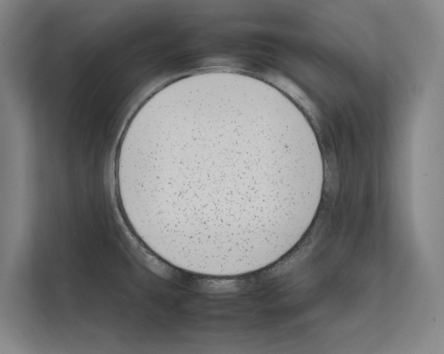 X0000111141431200908111105