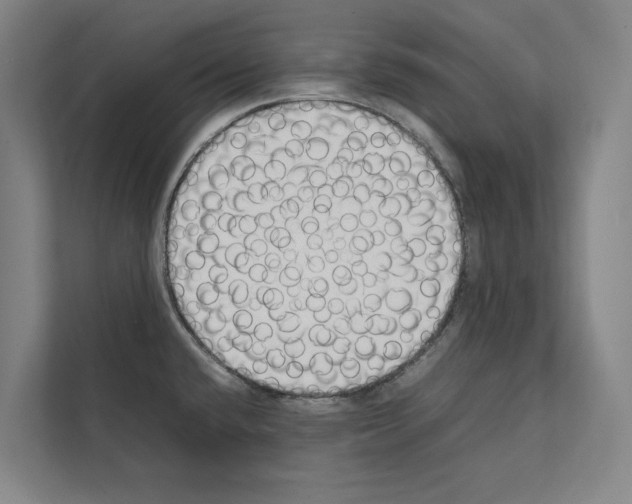 X0000111141432200908111105