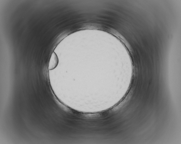 X0000111141433200908111105