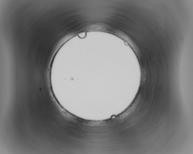 X0000111141434200908111105