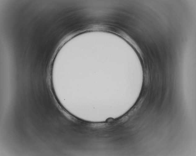 X0000111141437200908111105