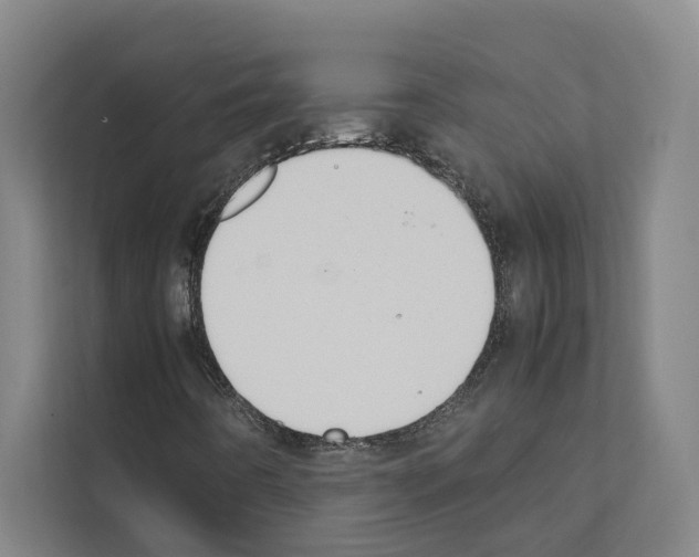 X0000111141442200908111104